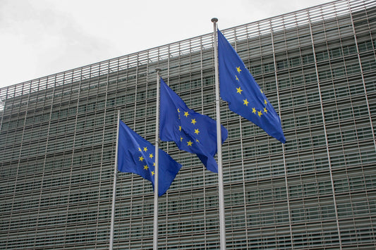 European Union flags flying in front of a government building