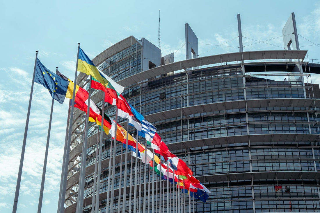 European building with national flags representing Europe