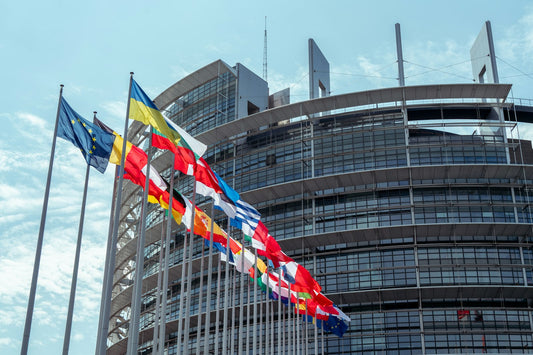 European building with national flags representing Europe